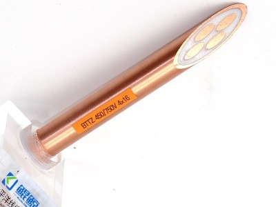 bttz電纜有五芯的嗎？