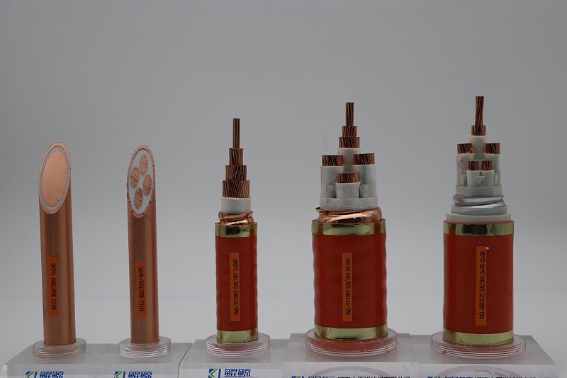 什么是BTTZ電纜？有哪些優(yōu)點(diǎn)和缺點(diǎn)？